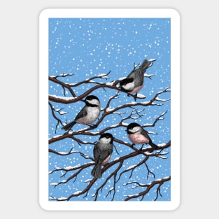 Chickadees in winter Sticker